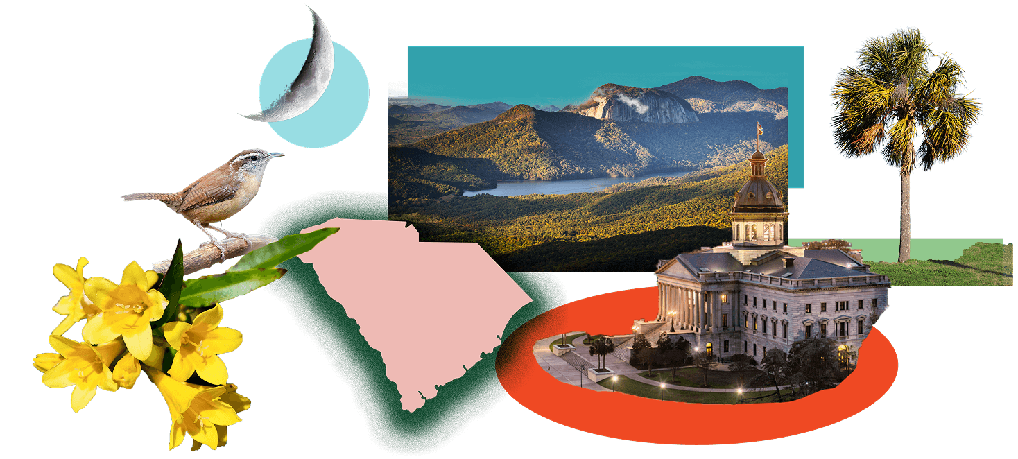 Collage of state outline, wren, Yellow Jessamines, Palmetto tree, crescent moon, Blue Ridge Mountains, state capitol building